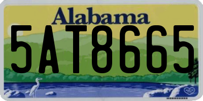 AL license plate 5AT8665