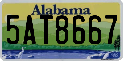 AL license plate 5AT8667