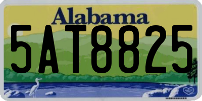 AL license plate 5AT8825