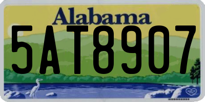 AL license plate 5AT8907