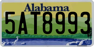 AL license plate 5AT8993