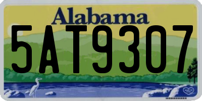 AL license plate 5AT9307