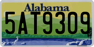 AL license plate 5AT9309