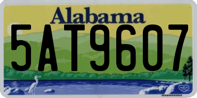 AL license plate 5AT9607