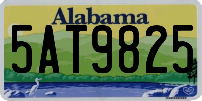 AL license plate 5AT9825