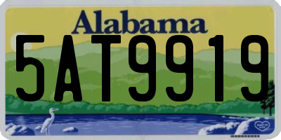 AL license plate 5AT9919