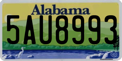AL license plate 5AU8993