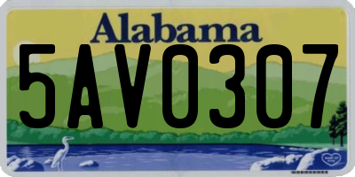 AL license plate 5AV0307