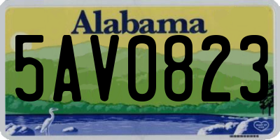 AL license plate 5AV0823