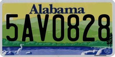 AL license plate 5AV0828