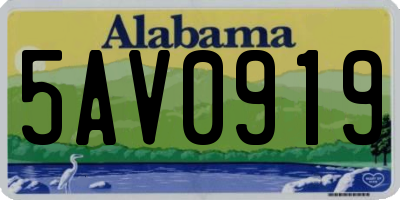 AL license plate 5AV0919