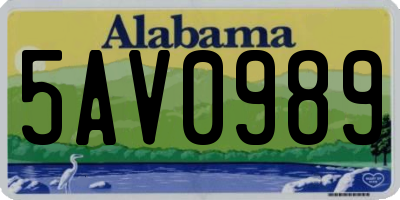 AL license plate 5AV0989