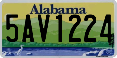 AL license plate 5AV1224