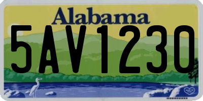 AL license plate 5AV1230