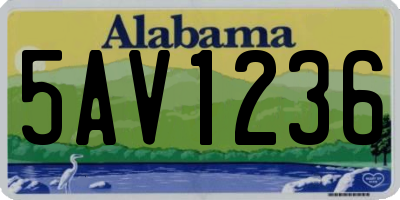 AL license plate 5AV1236