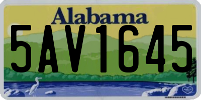 AL license plate 5AV1645