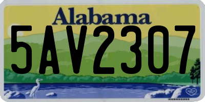 AL license plate 5AV2307