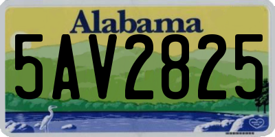 AL license plate 5AV2825