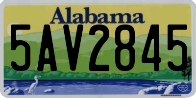 AL license plate 5AV2845