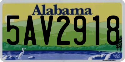 AL license plate 5AV2918