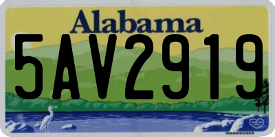 AL license plate 5AV2919