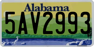 AL license plate 5AV2993