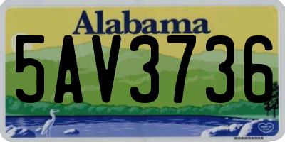 AL license plate 5AV3736