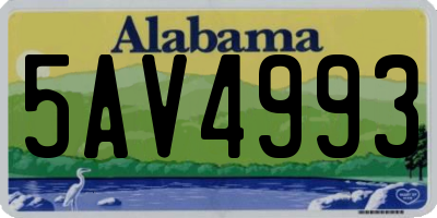 AL license plate 5AV4993