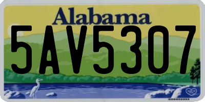 AL license plate 5AV5307