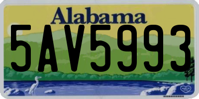 AL license plate 5AV5993
