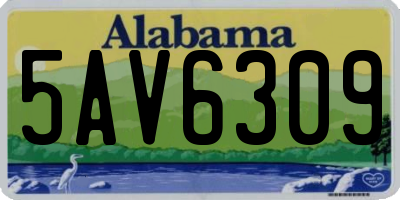 AL license plate 5AV6309