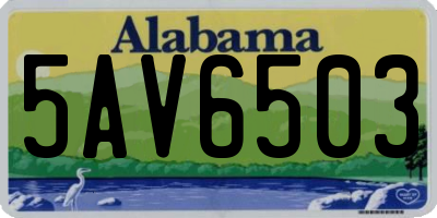 AL license plate 5AV6503