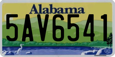 AL license plate 5AV6541