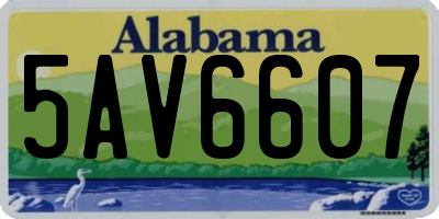 AL license plate 5AV6607