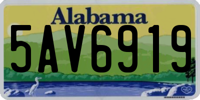 AL license plate 5AV6919
