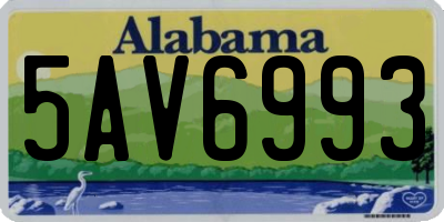 AL license plate 5AV6993