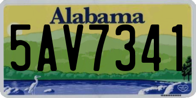 AL license plate 5AV7341