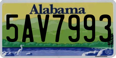 AL license plate 5AV7993