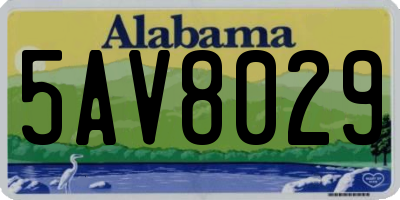 AL license plate 5AV8029