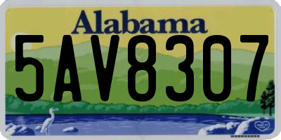 AL license plate 5AV8307