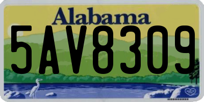 AL license plate 5AV8309