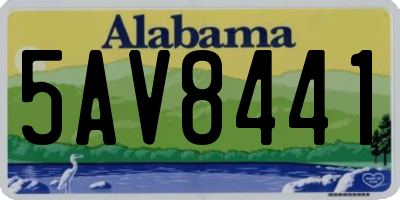 AL license plate 5AV8441