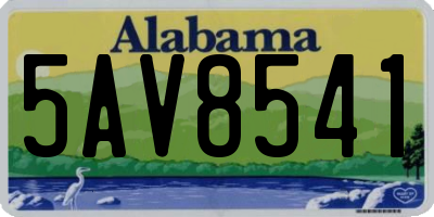 AL license plate 5AV8541