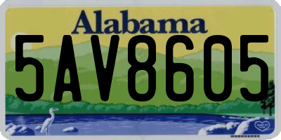 AL license plate 5AV8605