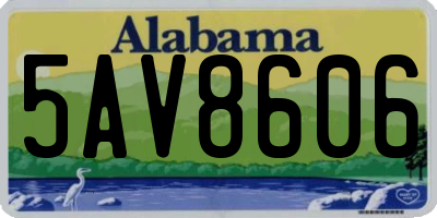 AL license plate 5AV8606