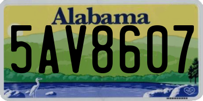 AL license plate 5AV8607