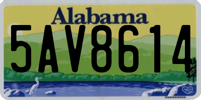 AL license plate 5AV8614