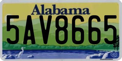 AL license plate 5AV8665