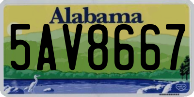 AL license plate 5AV8667