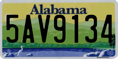 AL license plate 5AV9134